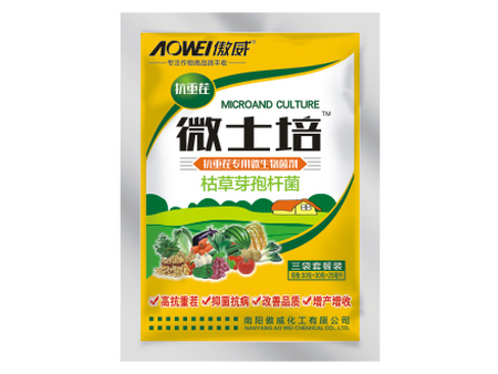 亚洲第一体育吉祥:农业专家手把手教你种红薯