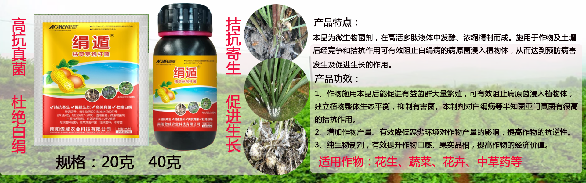 吉祥体育官网